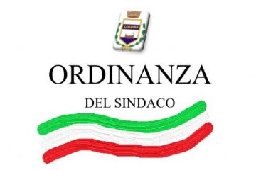 Ordinanza n. 11 del 13 luglio 2024 